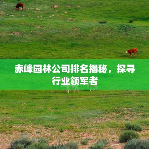 赤峰园林公司排名揭秘，探寻行业领军者