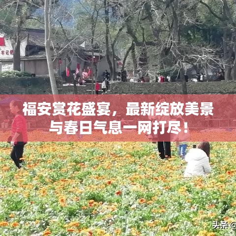 福安赏花盛宴，最新绽放美景与春日气息一网打尽！