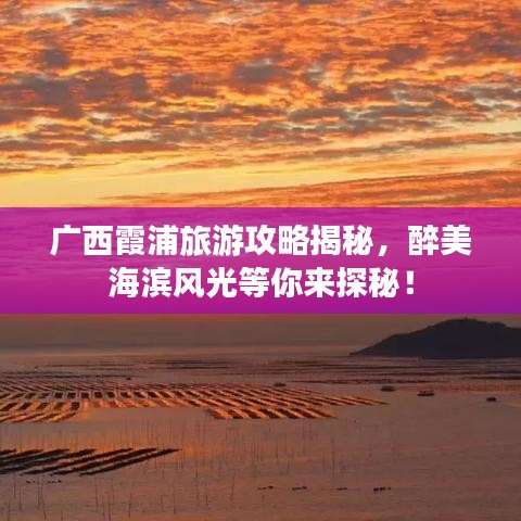 广西霞浦旅游攻略揭秘，醉美海滨风光等你来探秘！