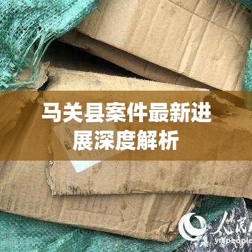 马关县案件最新进展深度解析