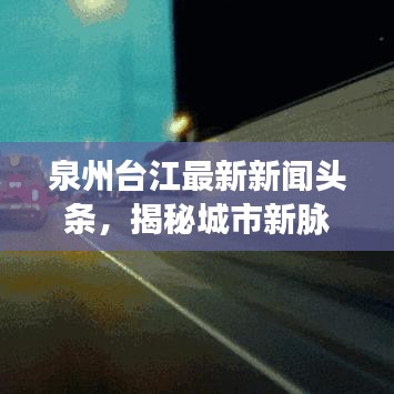 坌鸟先飞