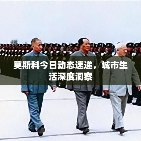 草率从事