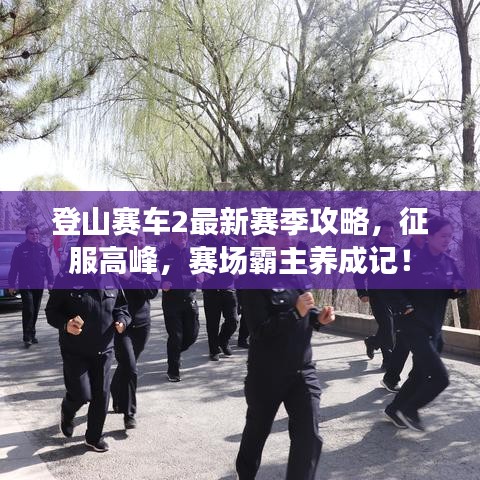 展翅欲飞