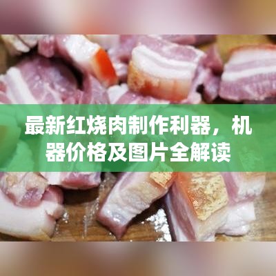最新红烧肉制作利器，机器价格及图片全解读