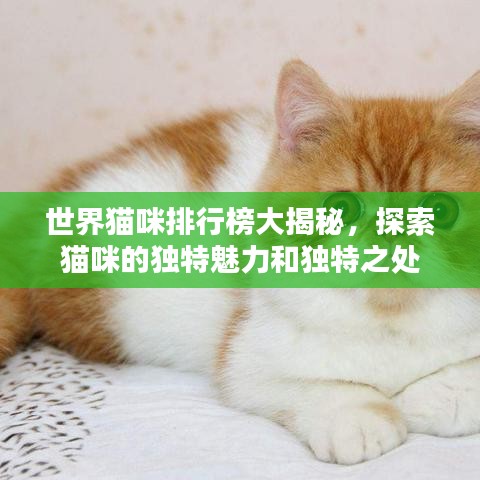 穷鸟入怀