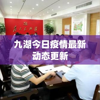 纲挈目张