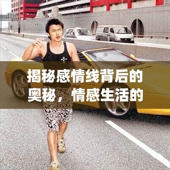 揭秘感情线背后的奥秘，情感生活的网络解读之道