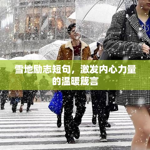 蛙鼓蝉鸣