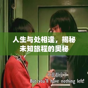 人生与处相逢，揭秘未知旅程的奥秘