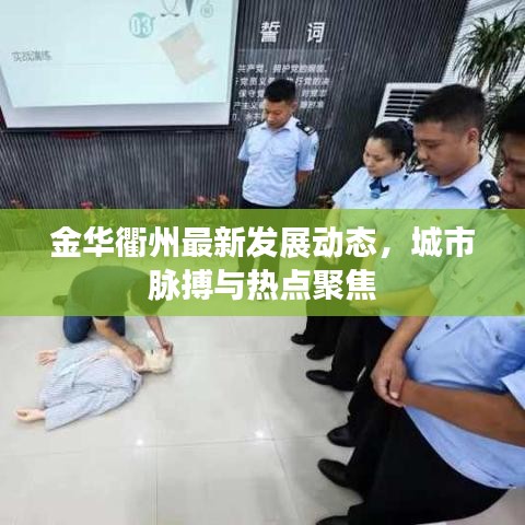 踊贵屦贱