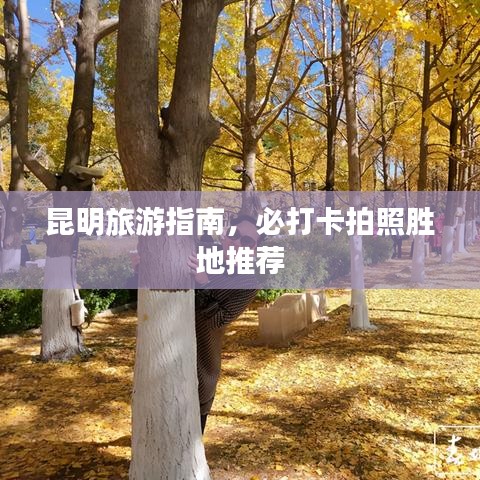 昆明旅游指南，必打卡拍照胜地推荐