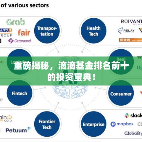 重磅揭秘，滴滴基金排名前十的投资宝典！