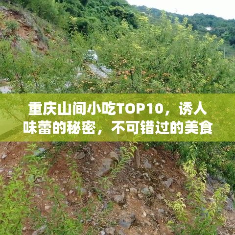 重庆山间小吃TOP10，诱人味蕾的秘密，不可错过的美食排名！