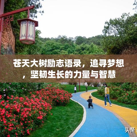 苍天大树励志语录，追寻梦想，坚韧生长的力量与智慧