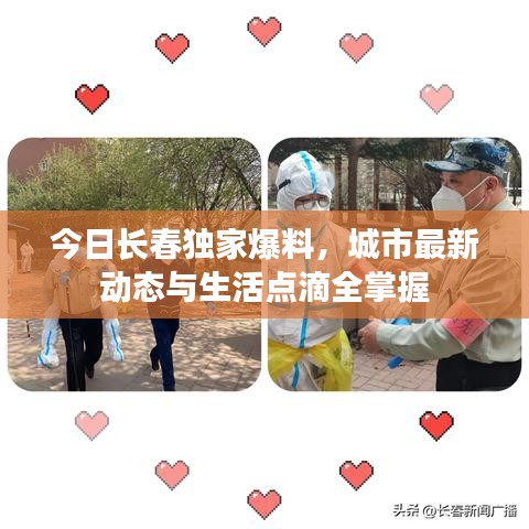今日长春独家爆料，城市最新动态与生活点滴全掌握