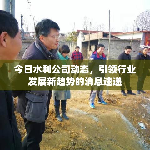 今日水利公司动态，引领行业发展新趋势的消息速递