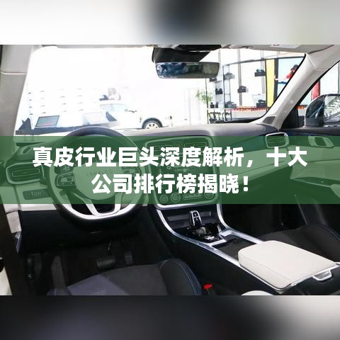 真皮行业巨头深度解析，十大公司排行榜揭晓！