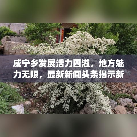 威宁乡发展活力四溢，地方魅力无限，最新新闻头条揭示新篇章