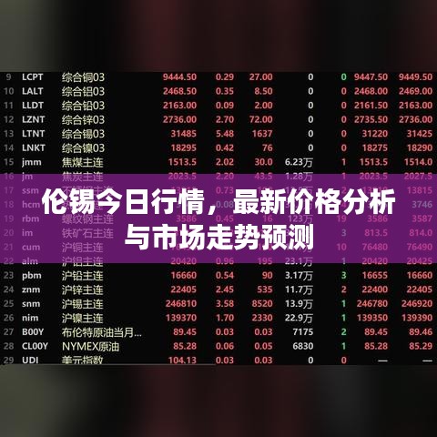 伦锡今日行情，最新价格分析与市场走势预测