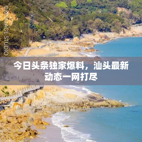 今日头条独家爆料，汕头最新动态一网打尽