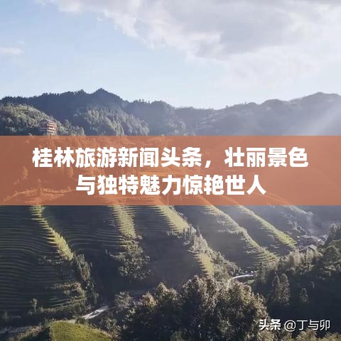 桂林旅游新闻头条，壮丽景色与独特魅力惊艳世人