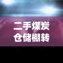 二手煤炭仓储棚转让信息，资源再利用助力经济效益双赢！