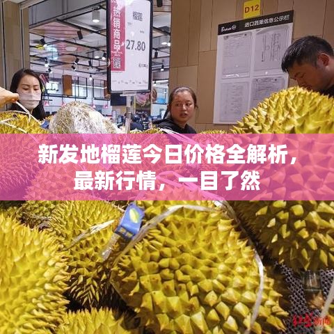 新发地榴莲今日价格全解析，最新行情，一目了然