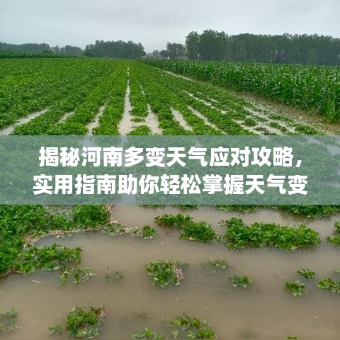 揭秘河南多变天气应对攻略，实用指南助你轻松掌握天气变化！百度收录标准标题