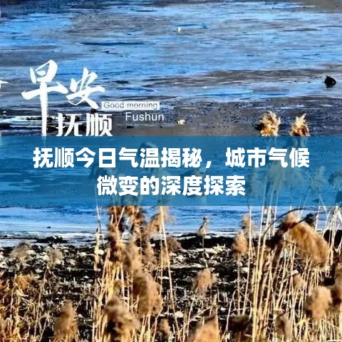 抚顺今日气温揭秘，城市气候微变的深度探索
