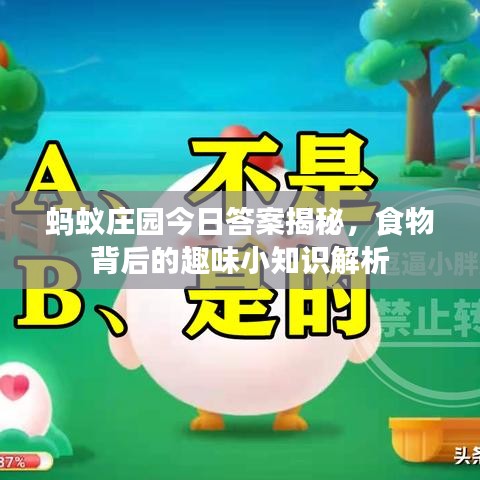 蚂蚁庄园今日答案揭秘，食物背后的趣味小知识解析