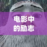 电影中的励志语录，激发无尽的力量与勇气源泉