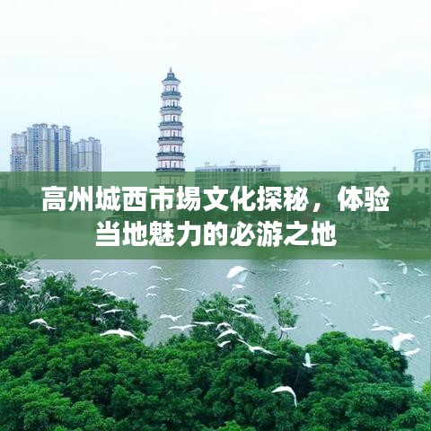 高州城西市埸文化探秘，体验当地魅力的必游之地