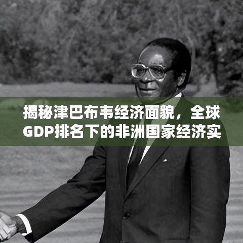 揭秘津巴布韦经济面貌，全球GDP排名下的非洲国家经济实力分析