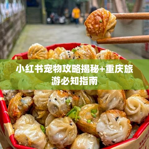 小红书宠物攻略揭秘+重庆旅游必知指南