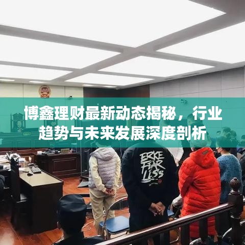 博鑫理财最新动态揭秘，行业趋势与未来发展深度剖析
