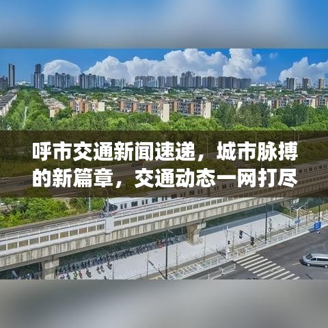 呼市交通新闻速递，城市脉搏的新篇章，交通动态一网打尽