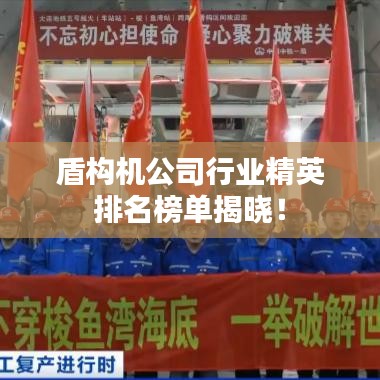盾构机公司行业精英排名榜单揭晓！