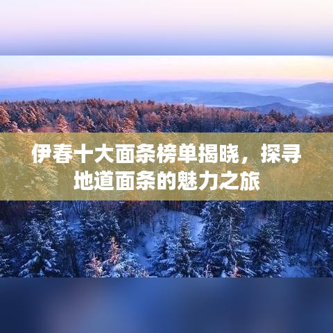 伊春十大面条榜单揭晓，探寻地道面条的魅力之旅
