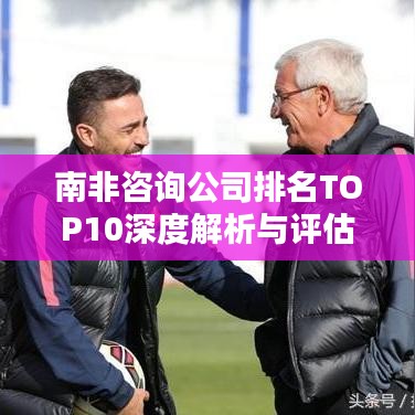 南非咨询公司排名TOP10深度解析与评估报告揭秘
