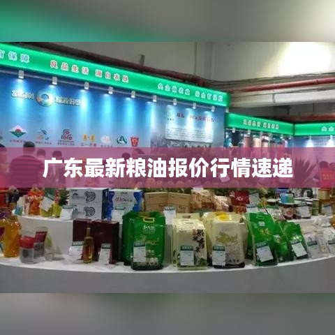 广东最新粮油报价行情速递