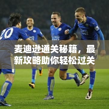 麦迪逊通关秘籍，最新攻略助你轻松过关