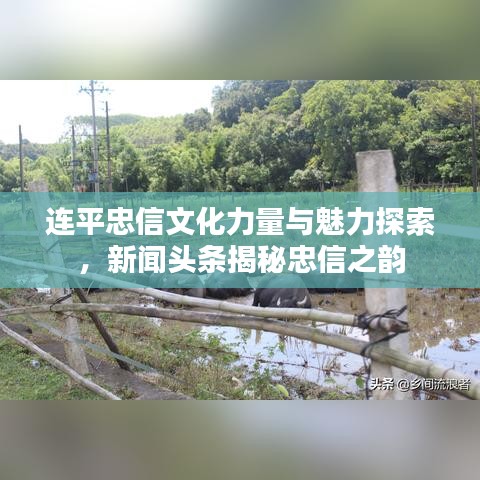 连平忠信文化力量与魅力探索，新闻头条揭秘忠信之韵