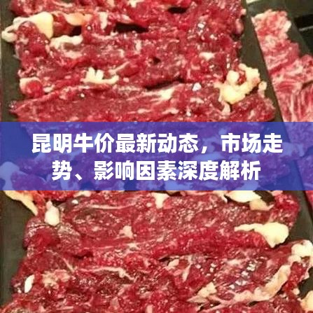 昆明牛价最新动态，市场走势、影响因素深度解析