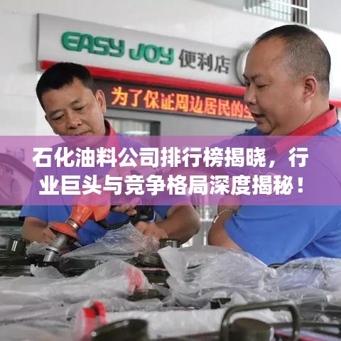 石化油料公司排行榜揭晓，行业巨头与竞争格局深度揭秘！