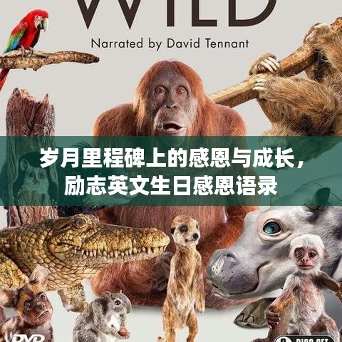 岁月里程碑上的感恩与成长，励志英文生日感恩语录