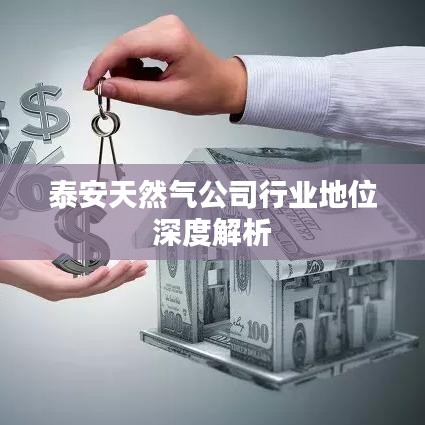 泰安天然气公司行业地位深度解析