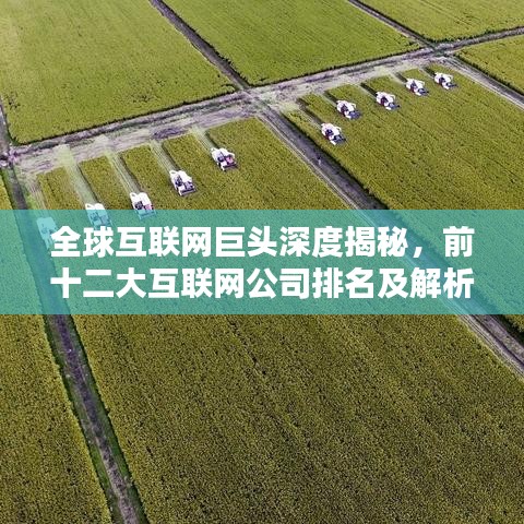 全球互联网巨头深度揭秘，前十二大互联网公司排名及解析