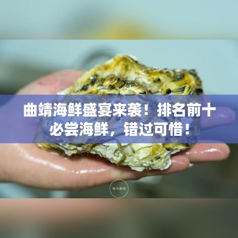曲靖海鲜盛宴来袭！排名前十必尝海鲜，错过可惜！
