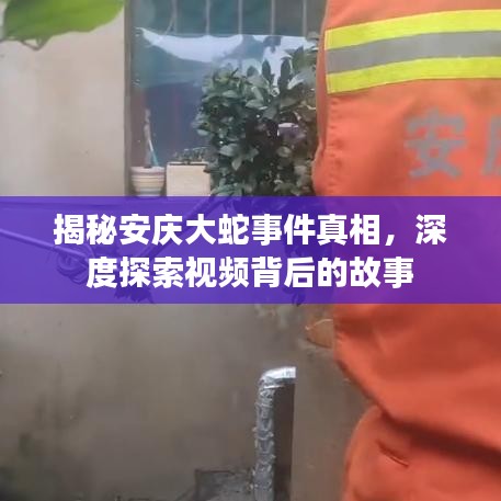 揭秘安庆大蛇事件真相，深度探索视频背后的故事