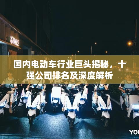 国内电动车行业巨头揭秘，十强公司排名及深度解析